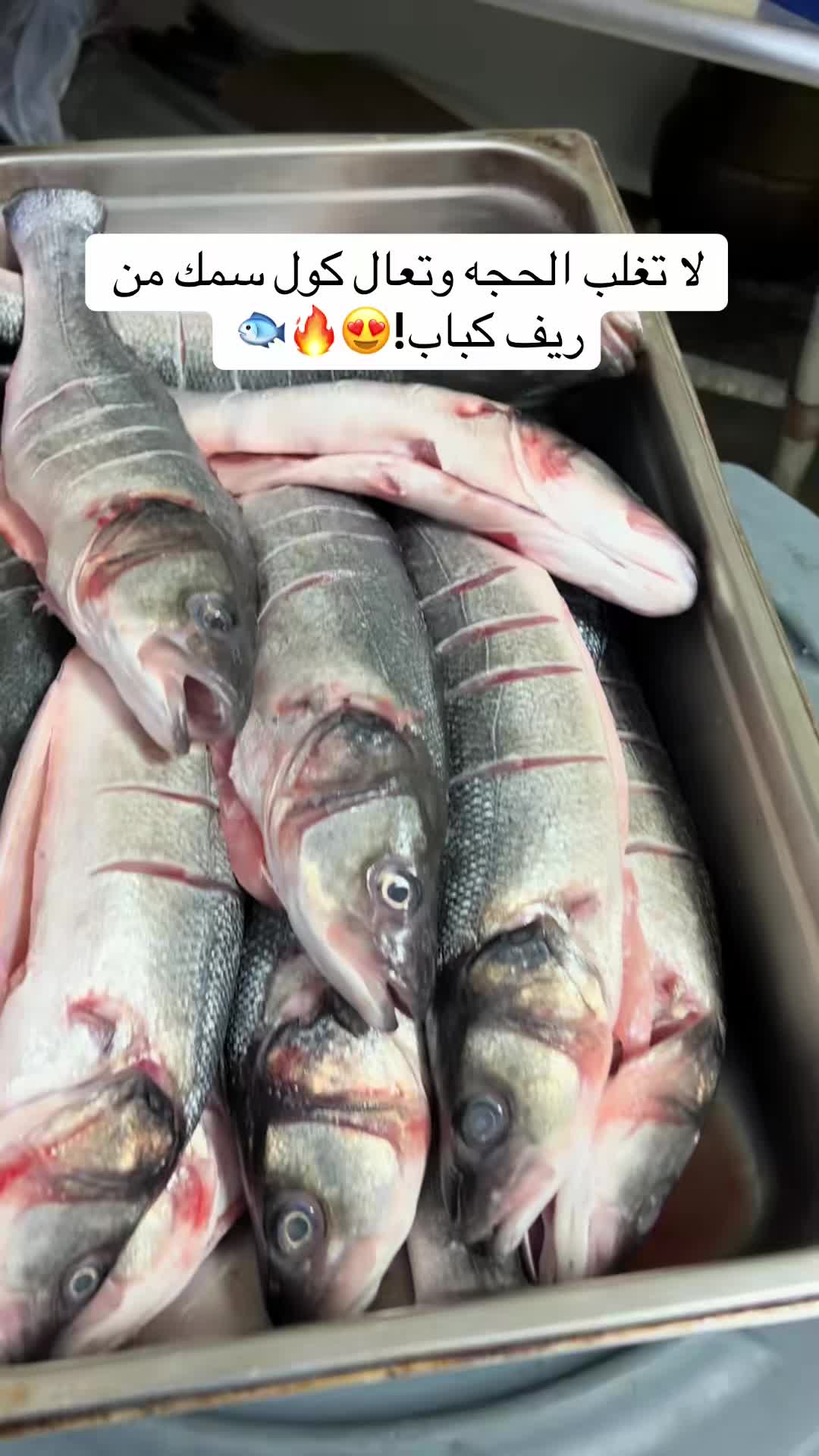 @REEF KABOB HALAL MEAT