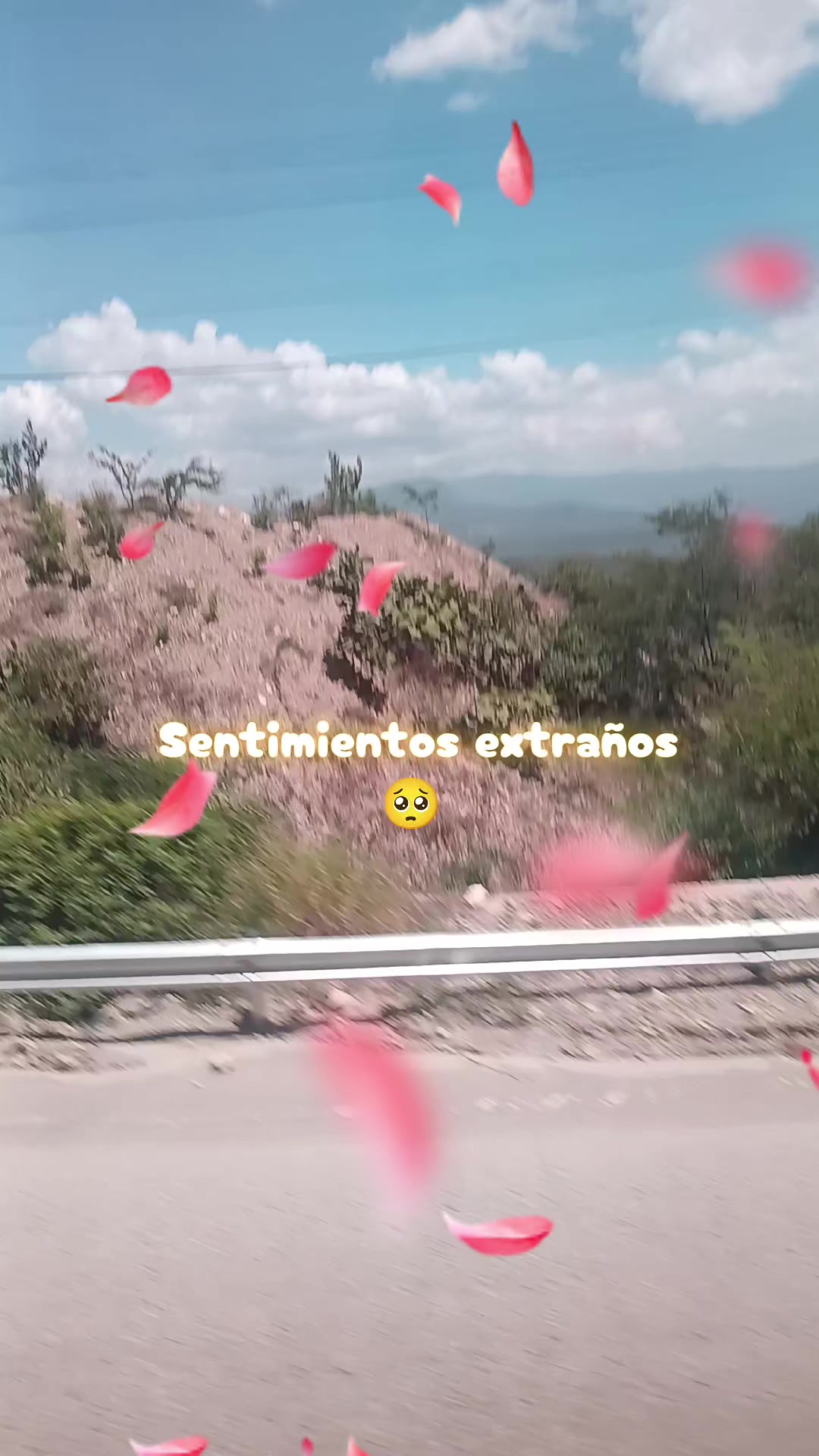 @AleSitA🌹 🚗💫 💋 👑