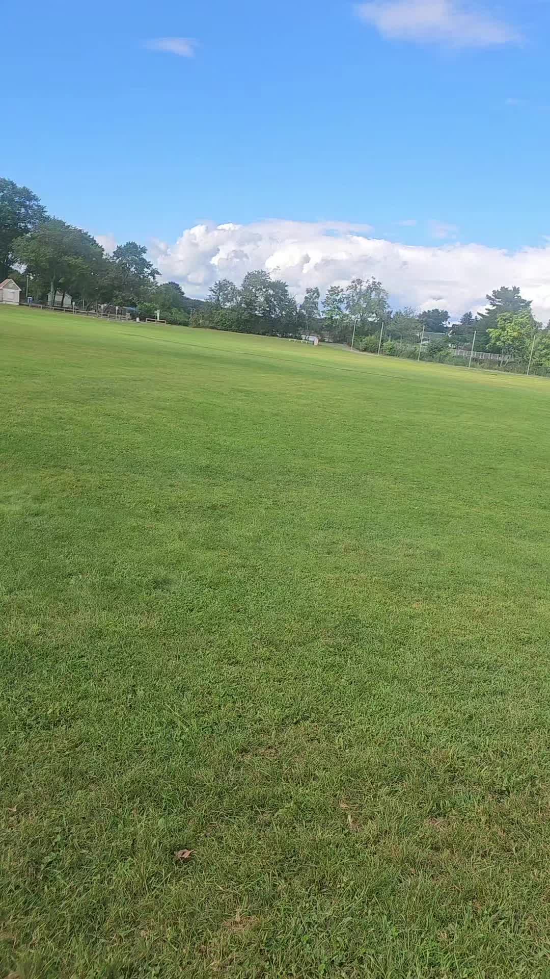 @Salomón Lima 🏹🇪🇨🤗