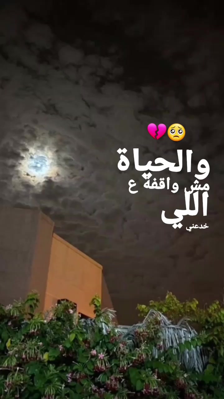 @W4rd4 🫆