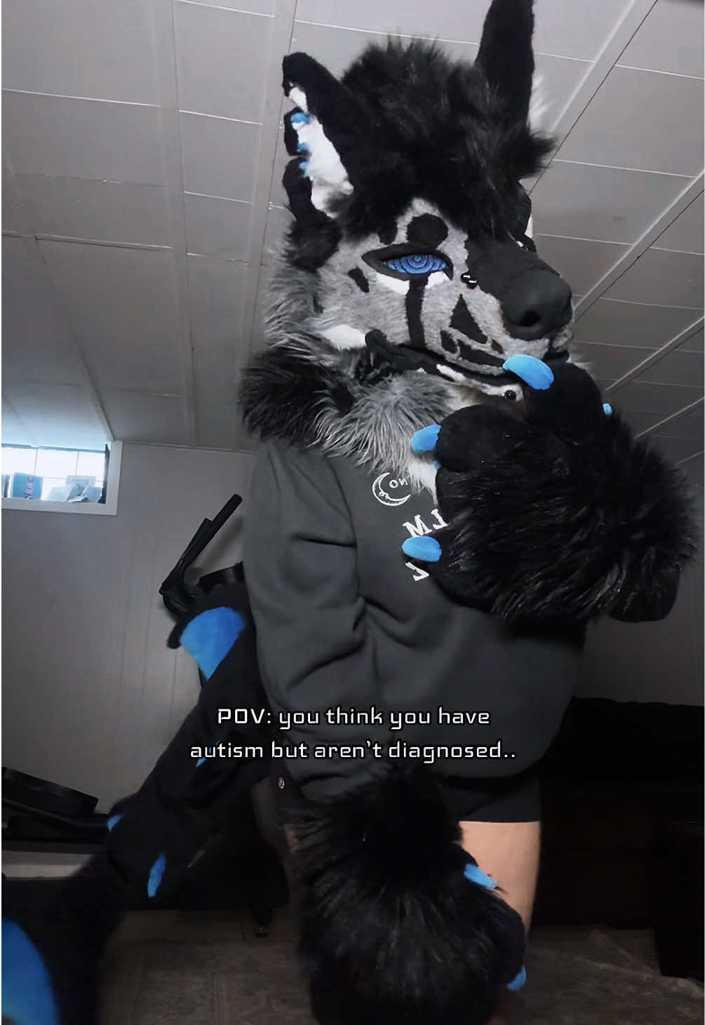 @sonar_hyena_shark