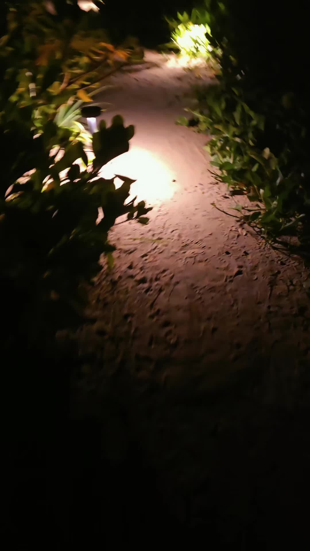@Mooon