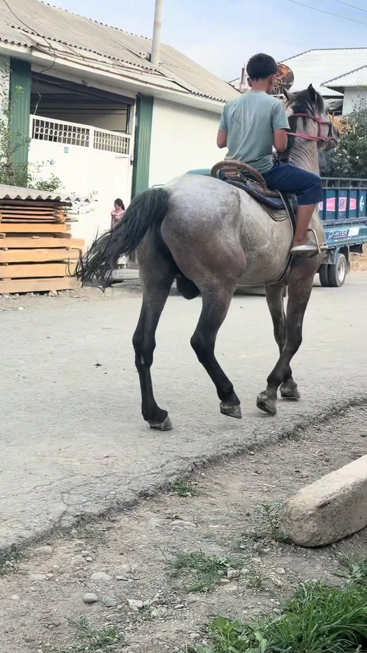 @aziz.nookat98