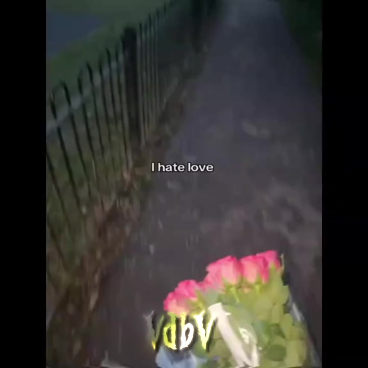 @VdbV