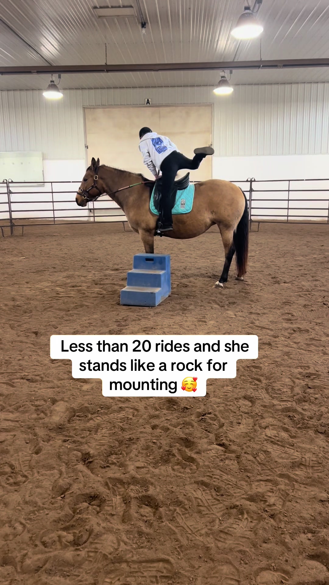 @Spirithorsecentermn
