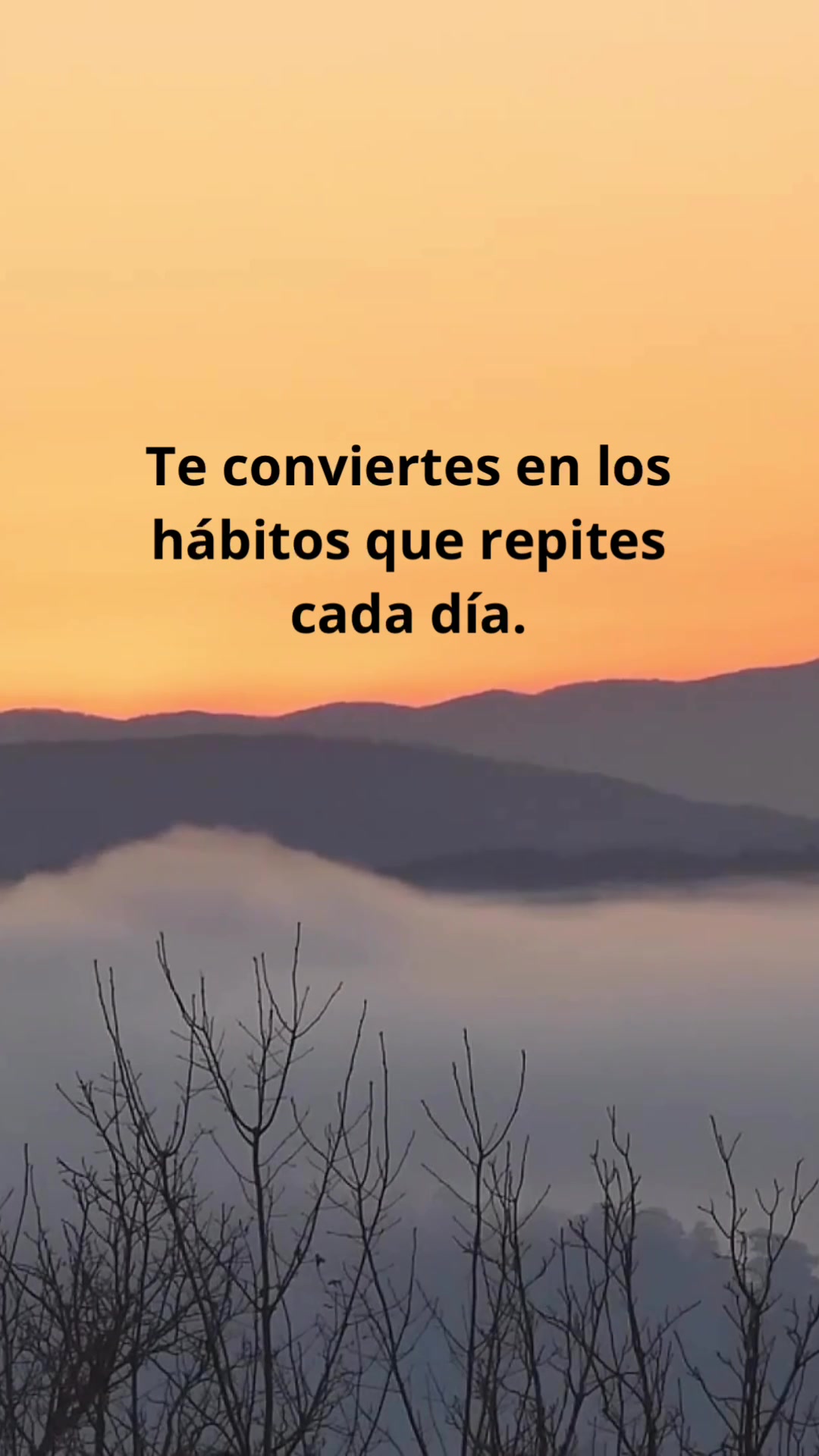 @Misi&oacute;n Dymphna