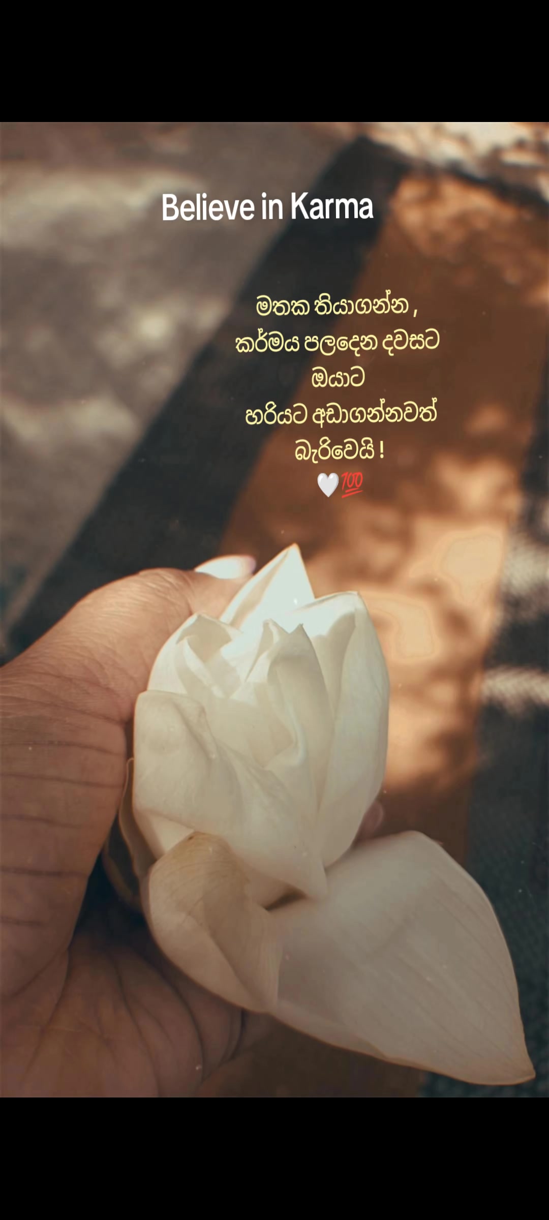 @🪬 Tharu | තරු | थारू 🪬