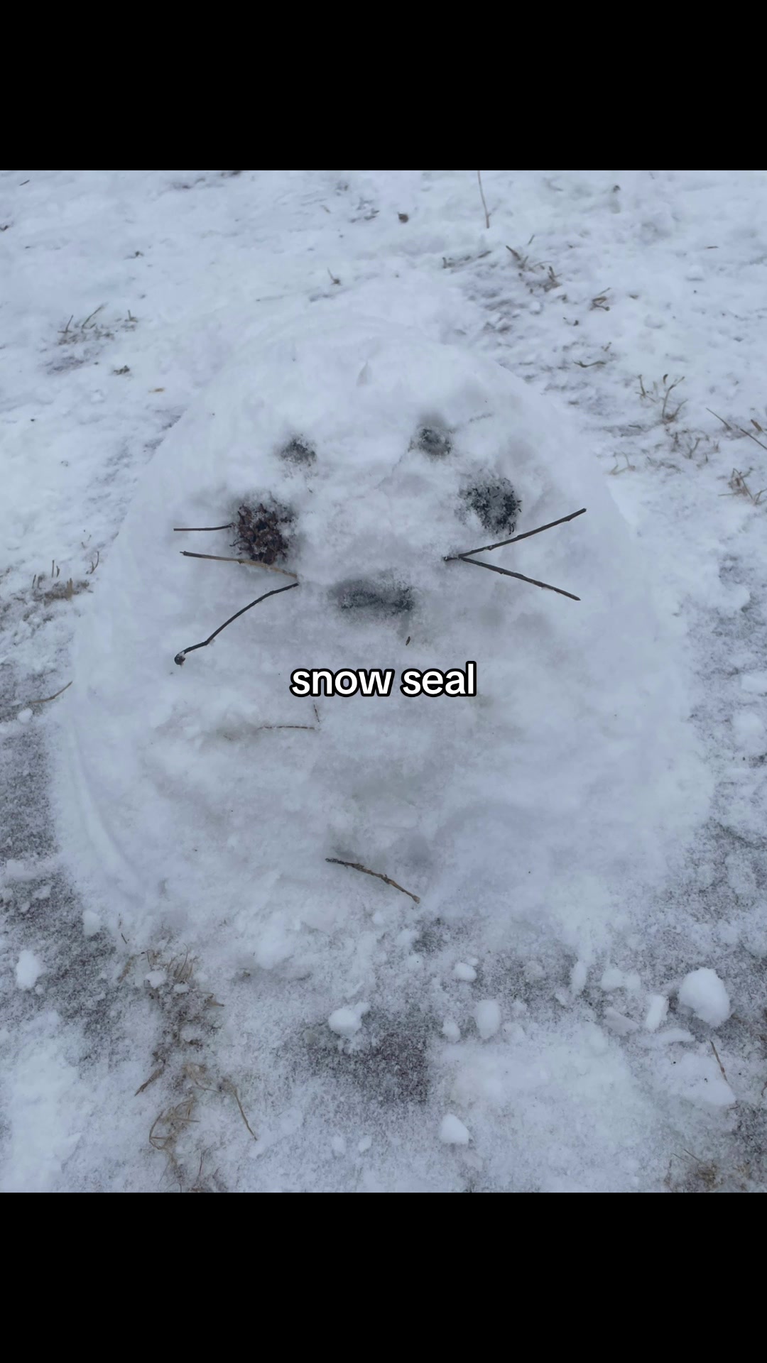 @sunset // ❄️🐹
