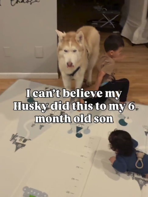 @freezinghusky