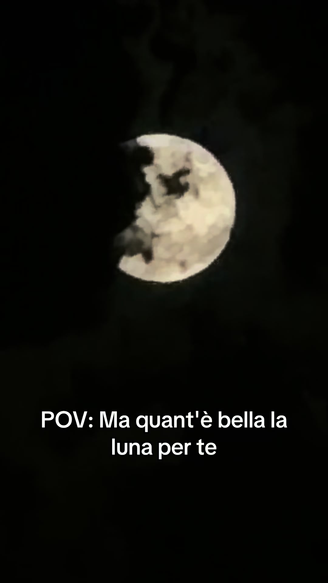 @Jessica Morabito