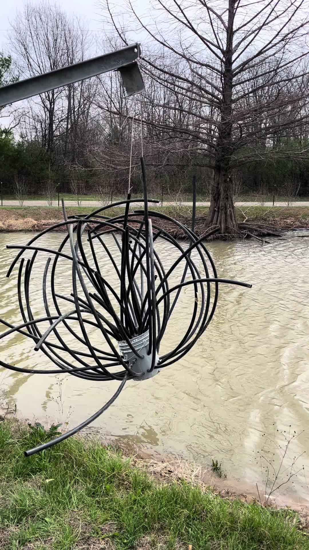 @217bowhunter