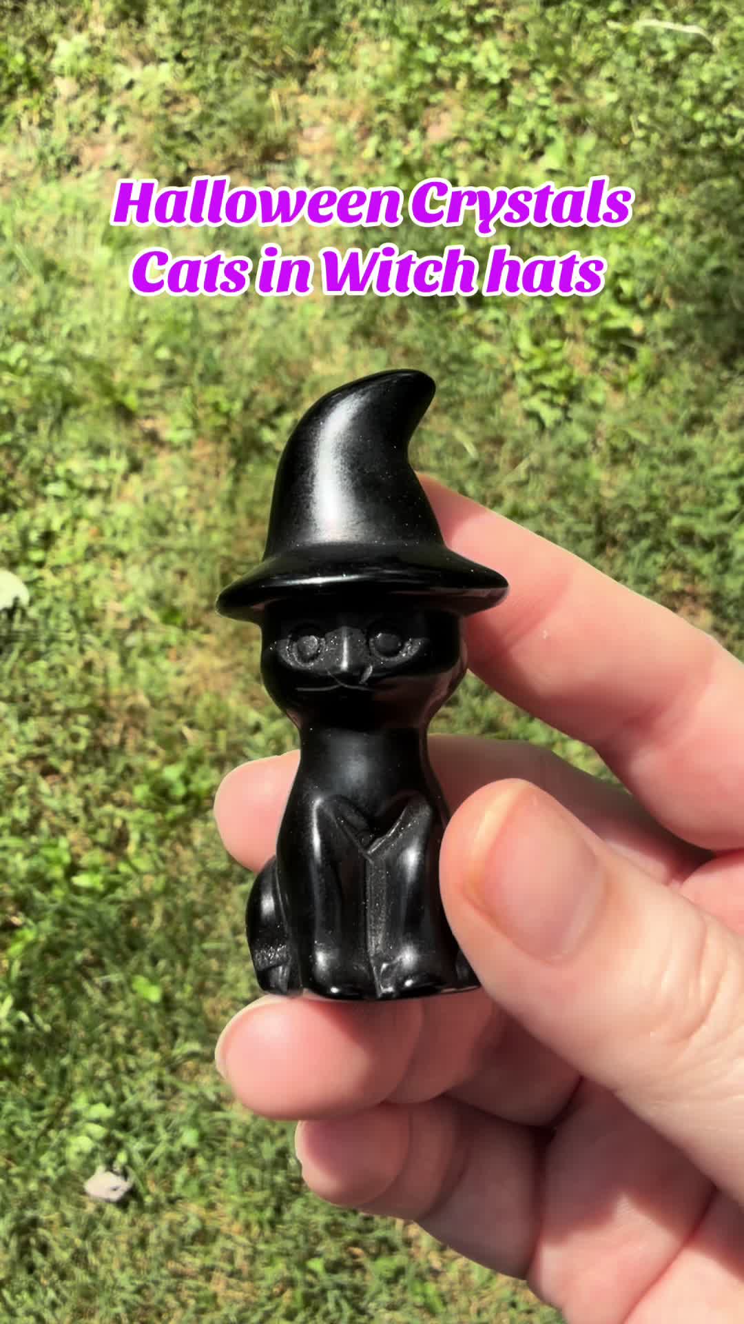@Zodiac Witch