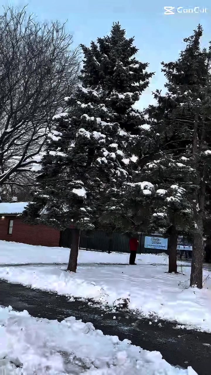 @saeed