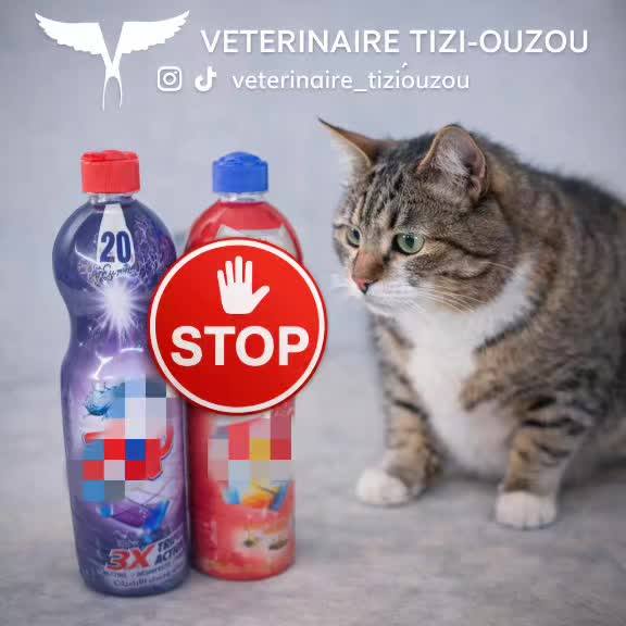 @Veterinaire Tizi-Ouzou