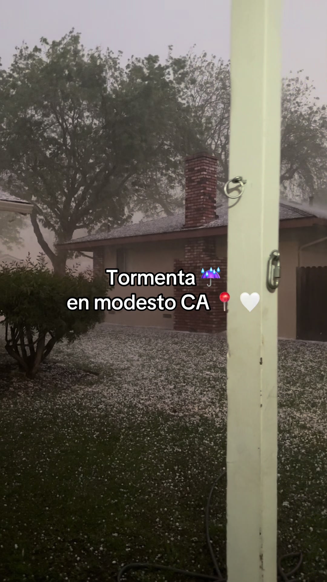 @💜😈🦥ᗩᑎᑎᗪI✨🌶️🐸