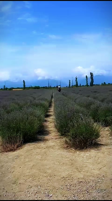 @F.Ə.T.Ə.L.İ.Y.E.V