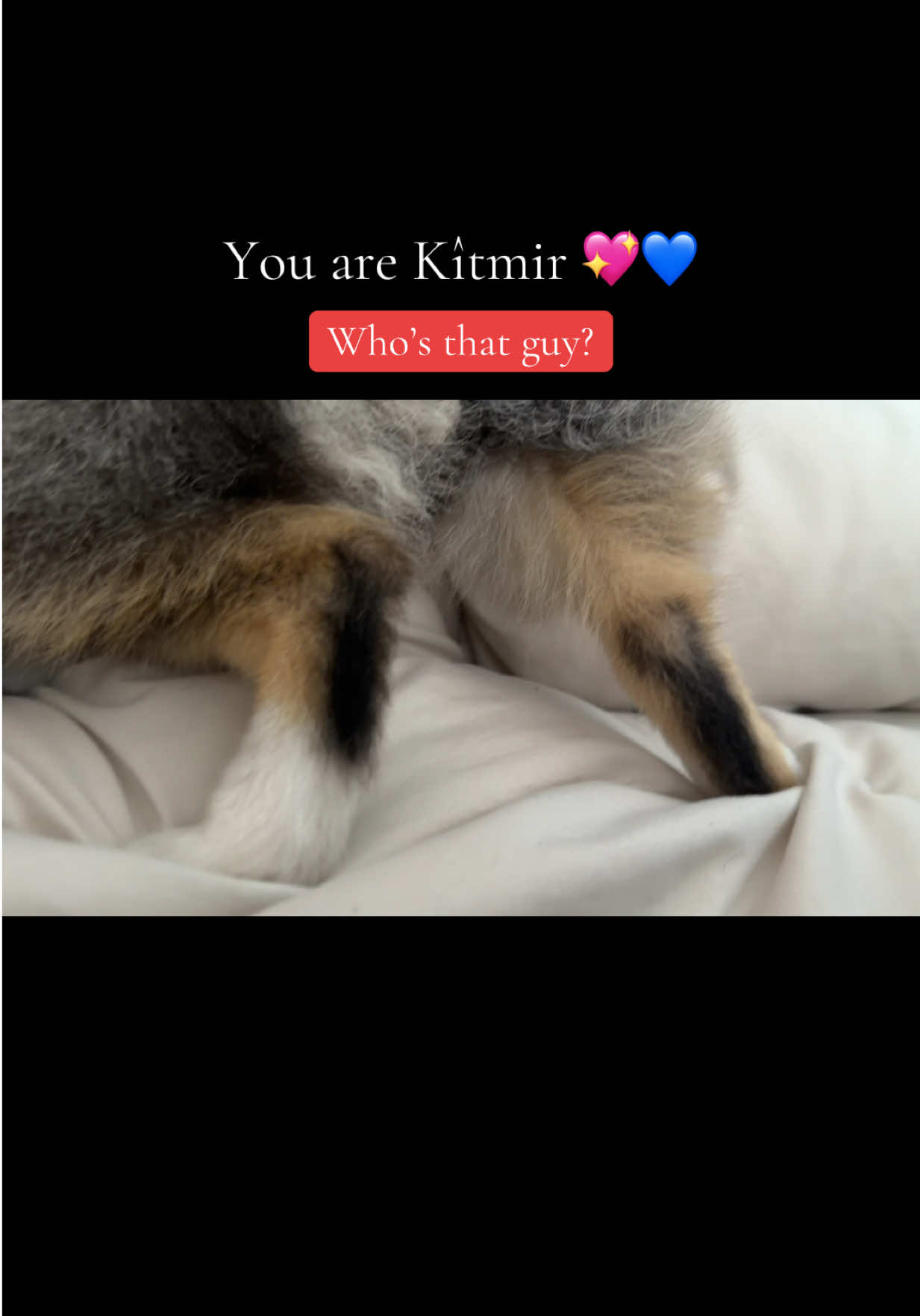@kitmirandnazo