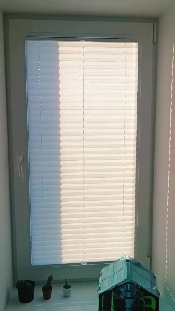 @Центр Вікон