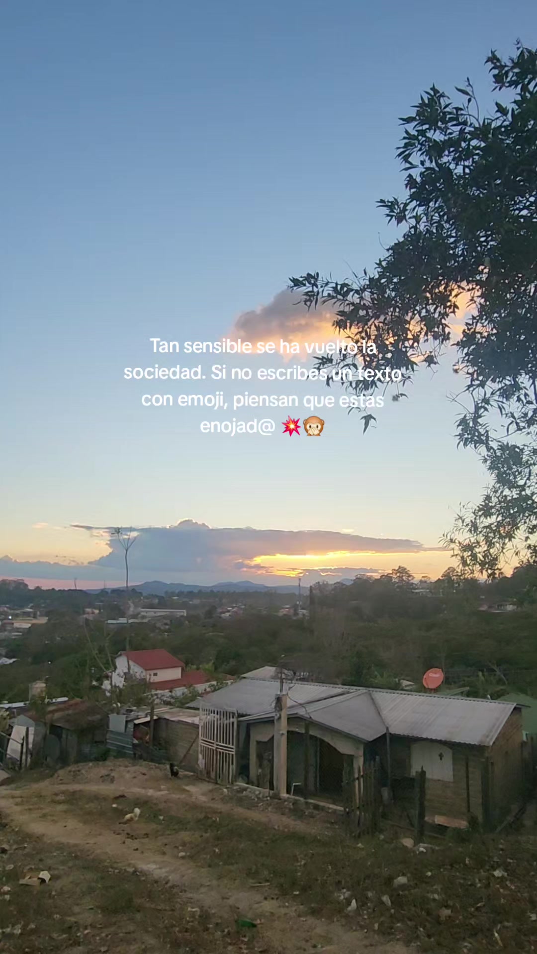 @✓ Cazando Atardecer_ 🌄☀️❤️🔥