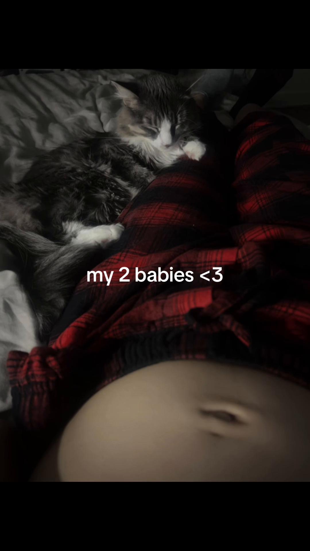 @jaz