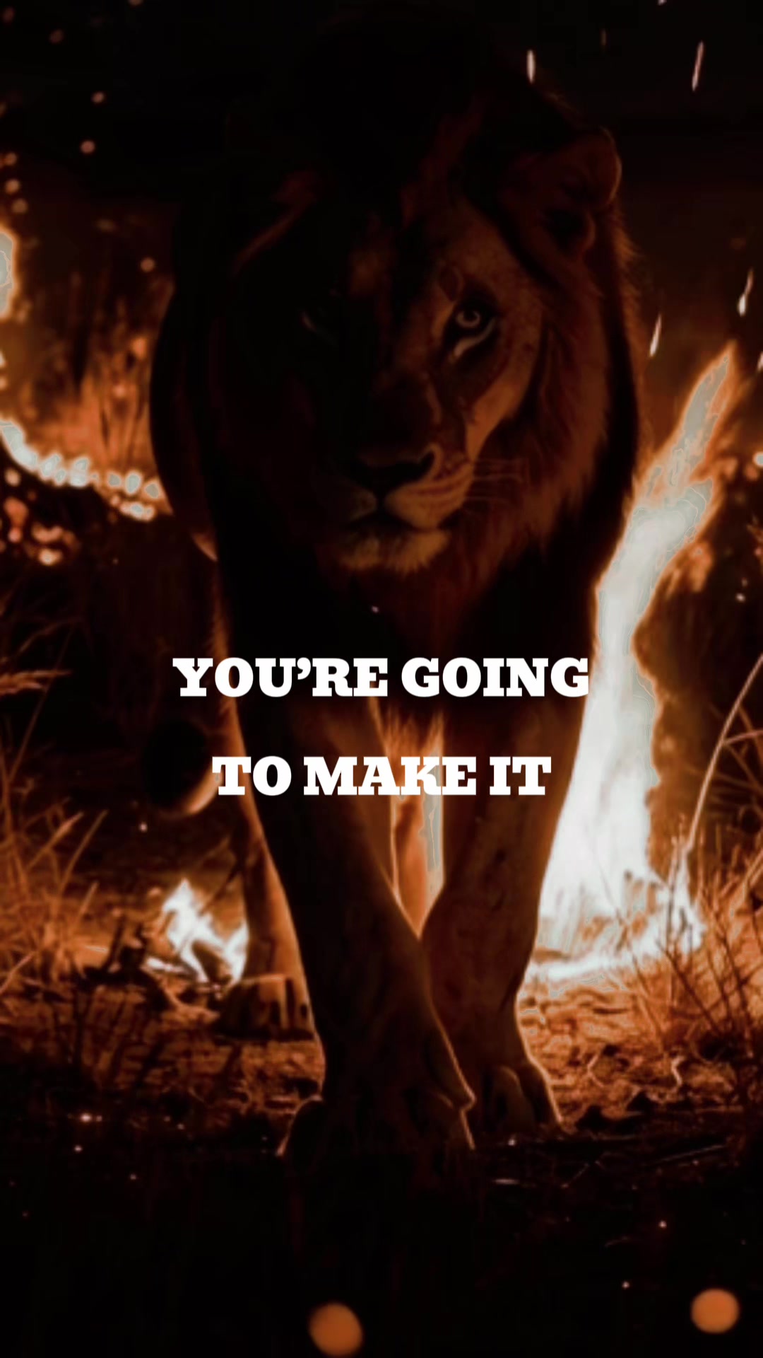 @Lion@Mind