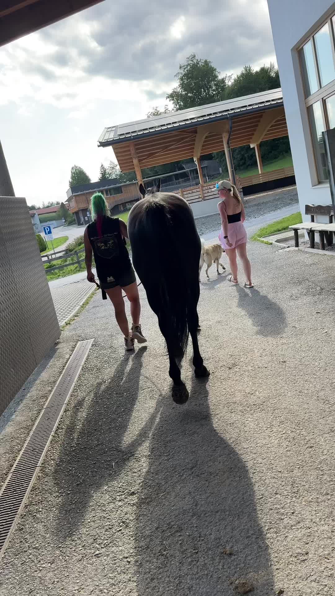 @Mountain Hill Ranch 🇦🇹