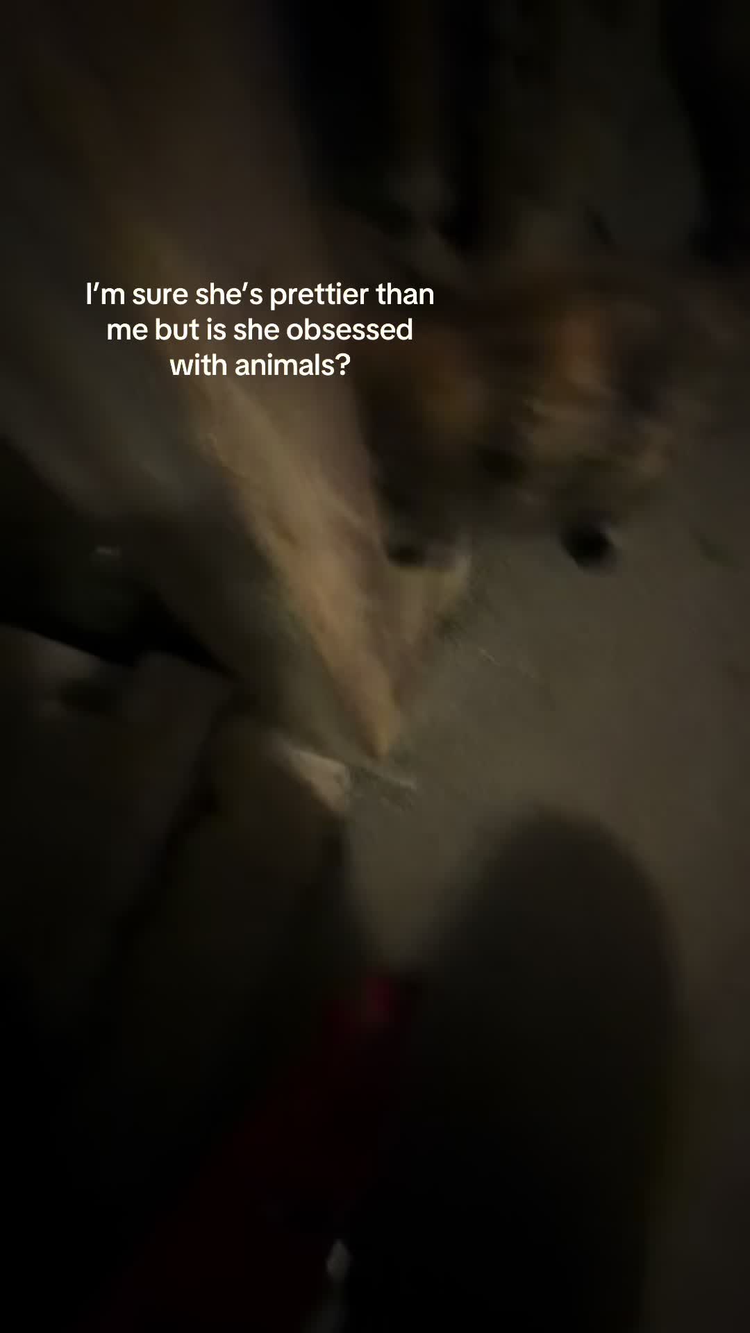 @𝔅𝔯𝔦🎧