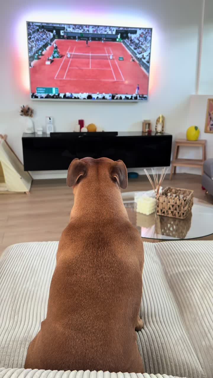@Dogragnar 🐶👑