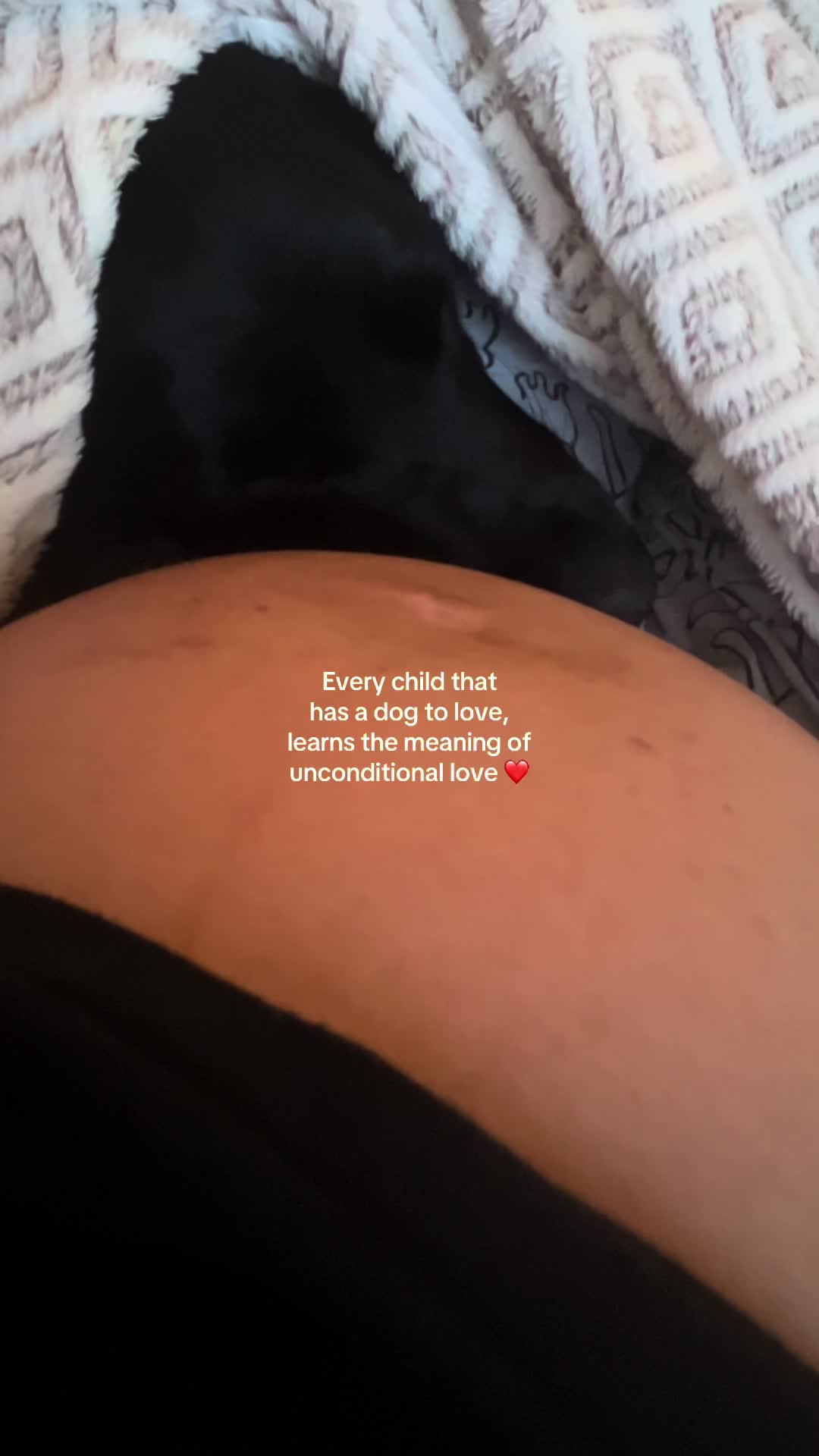 @Theblacklabbonnie