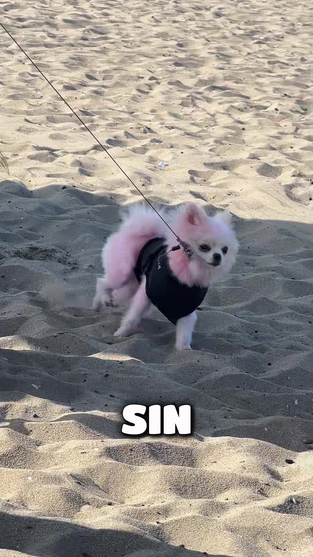 @Miza