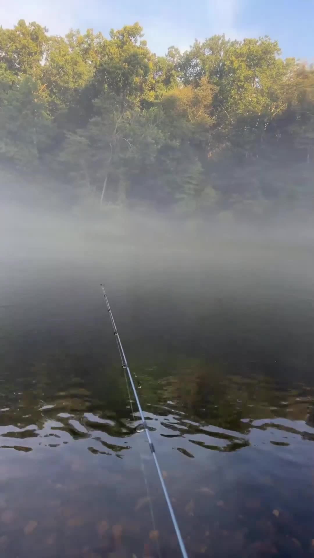 @LOVELACE 🎣