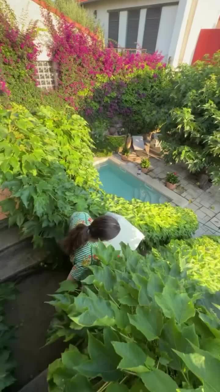 @GIGI