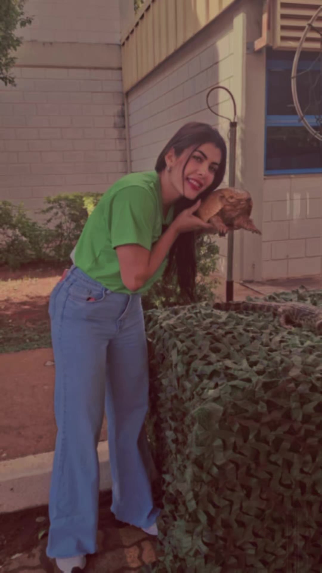 @fabi
