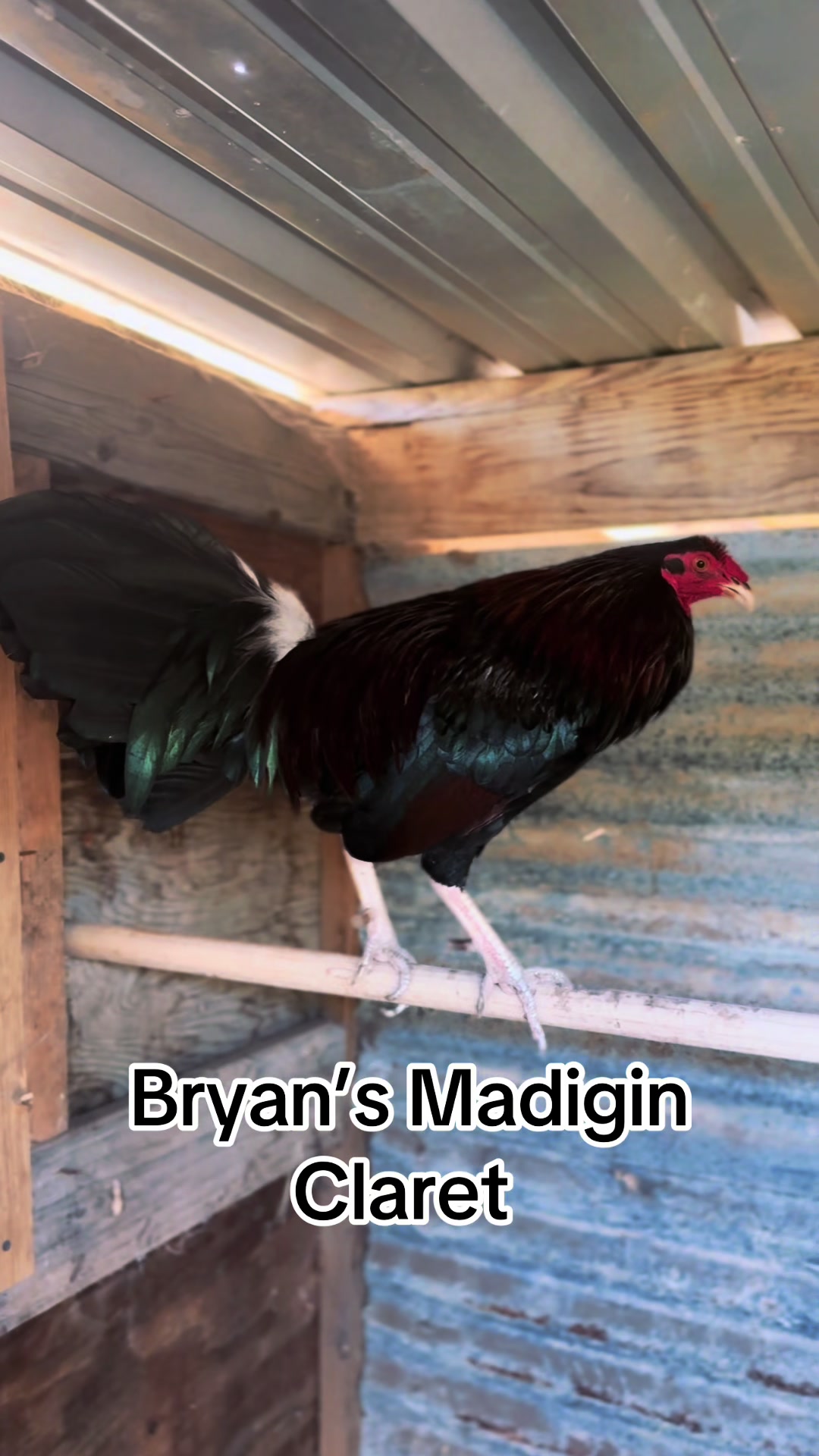 @Bryan Gamefarm