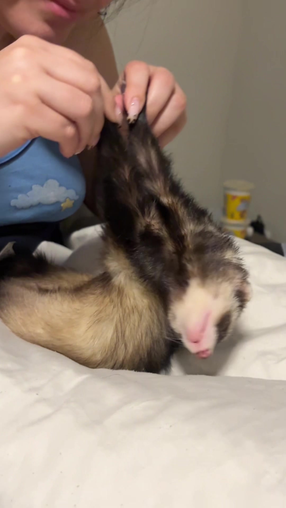 @oliverandstellaferrets