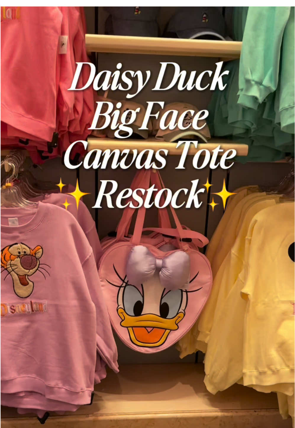 @nikki | disney tips & magic ✨