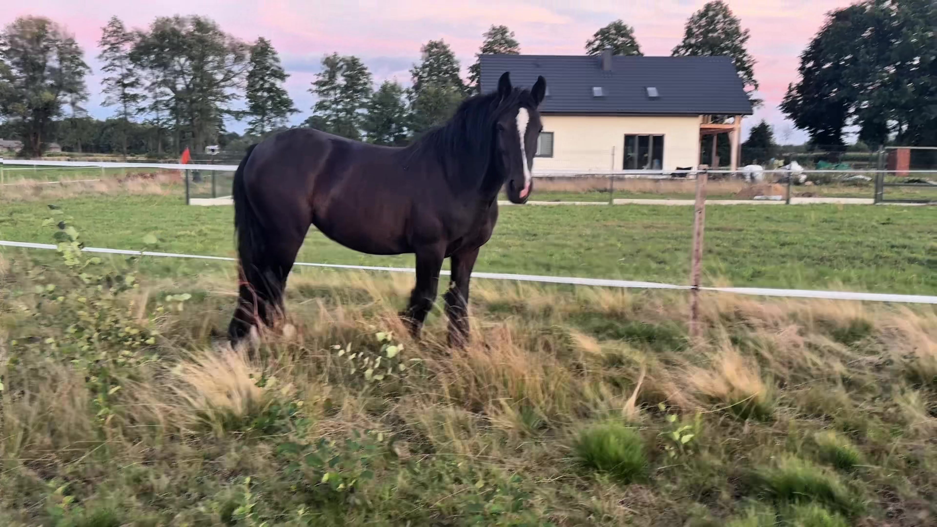 @KsiężycowaStajnia.VulkaDollArt
