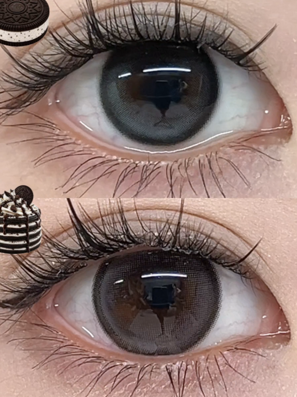 @sigocontacts_official