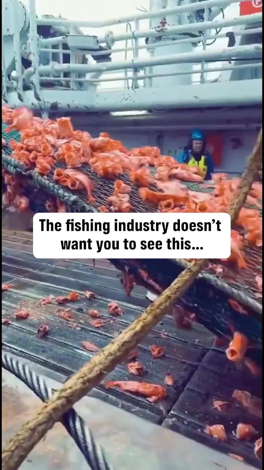 @Greenpeace UK