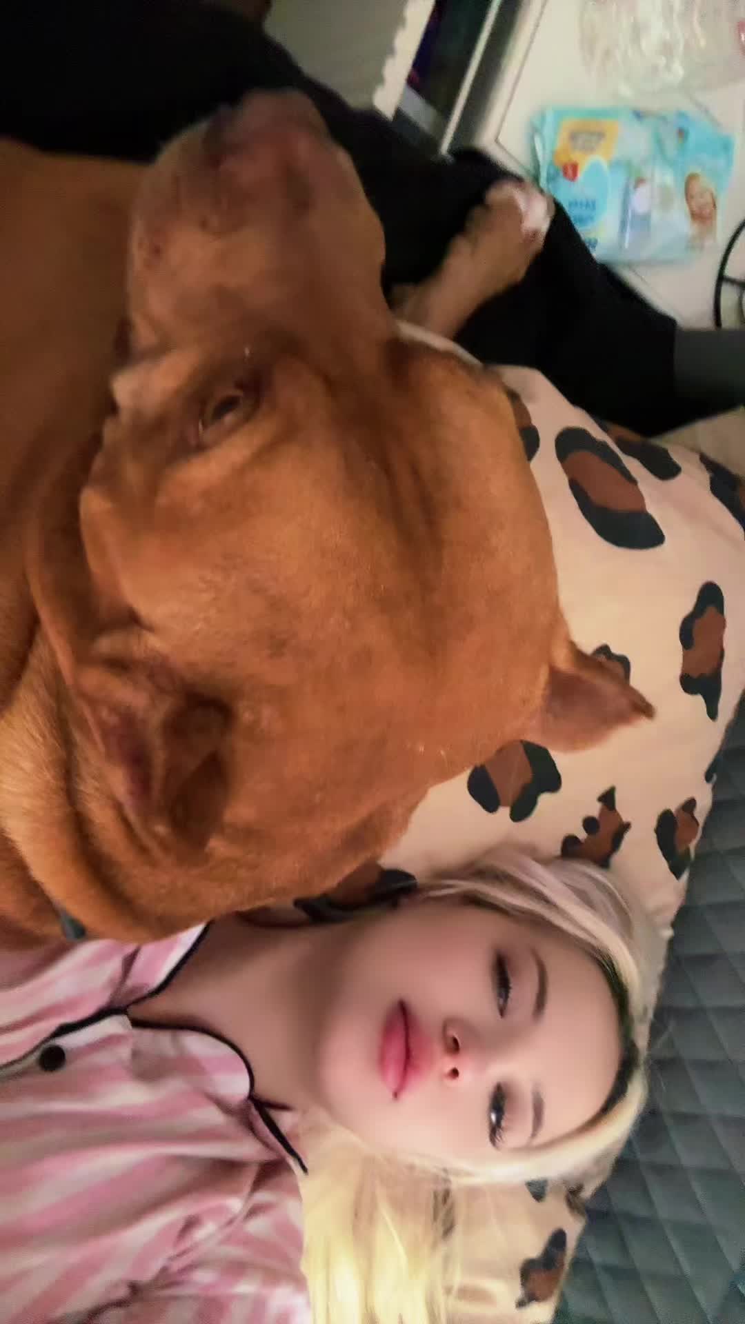 @sarısınpanter