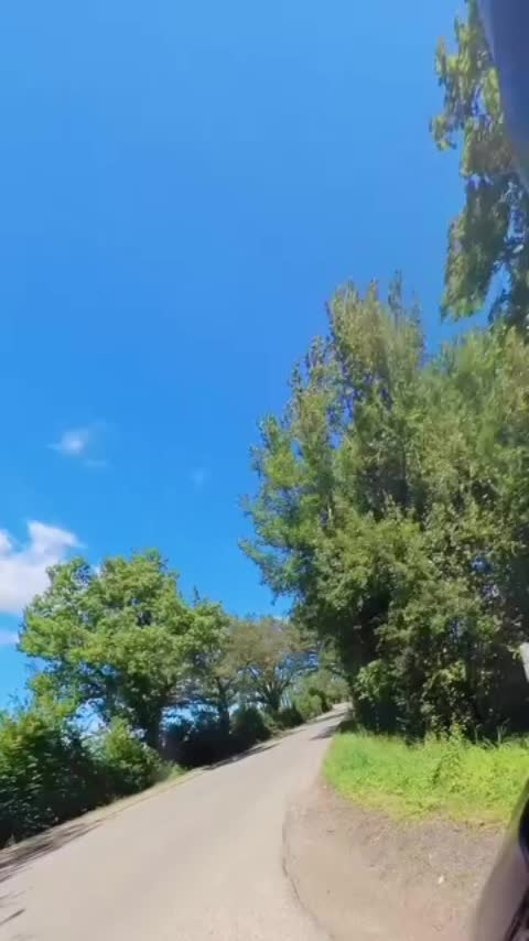 @Monkey76