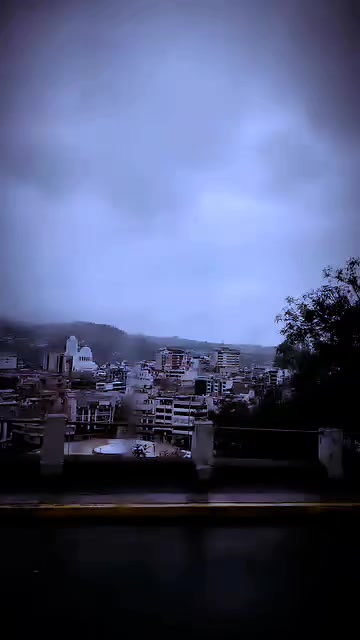 @JoTaCB🐤🐥🇪🇨593