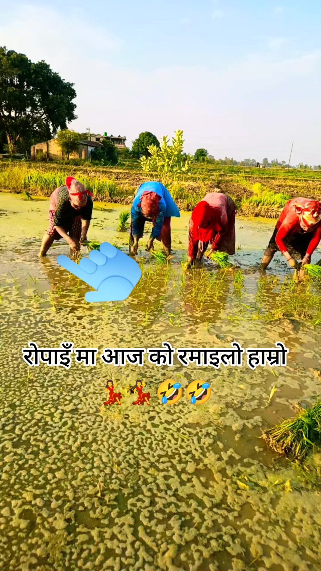 @Tara Acharya 199