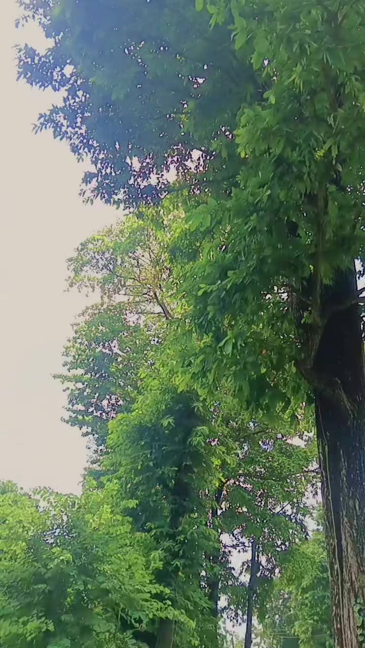 @गाउँले कान्छो✅🛖