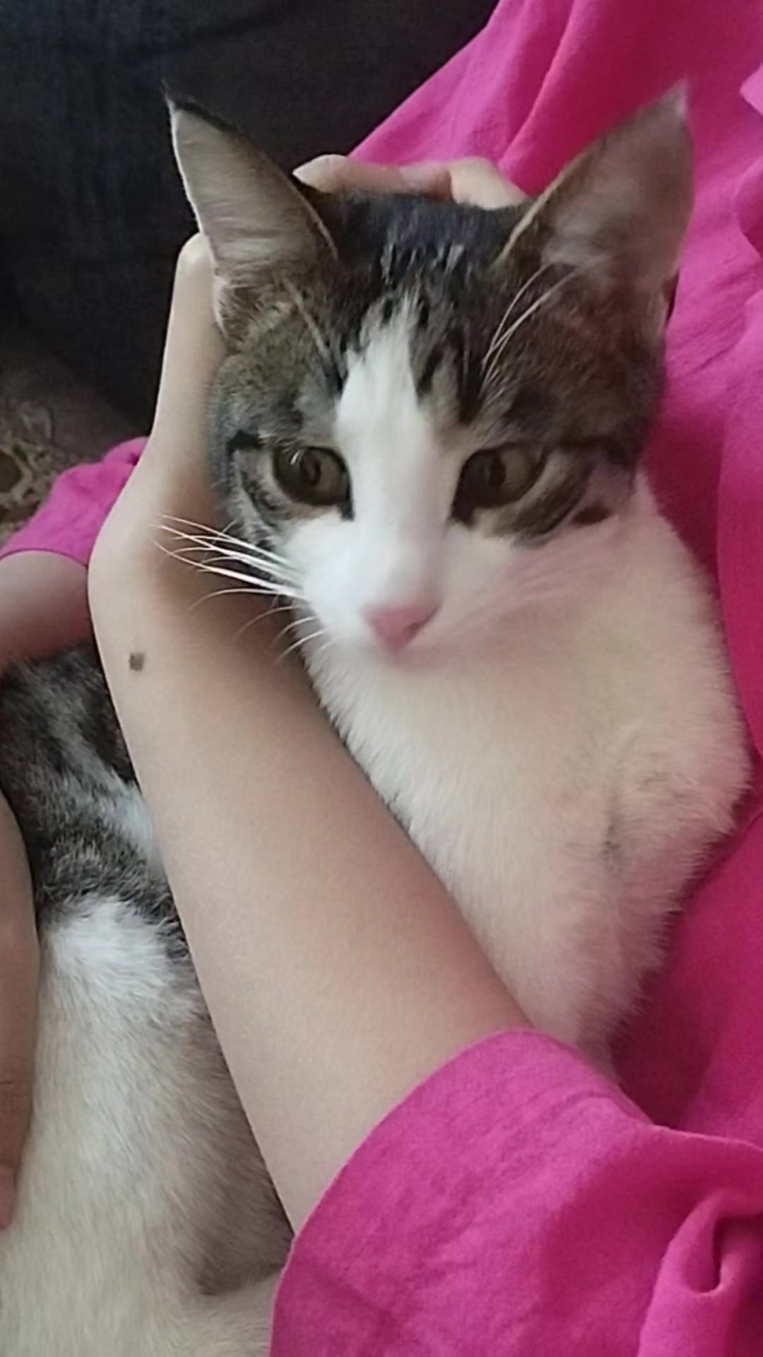 @🐾
