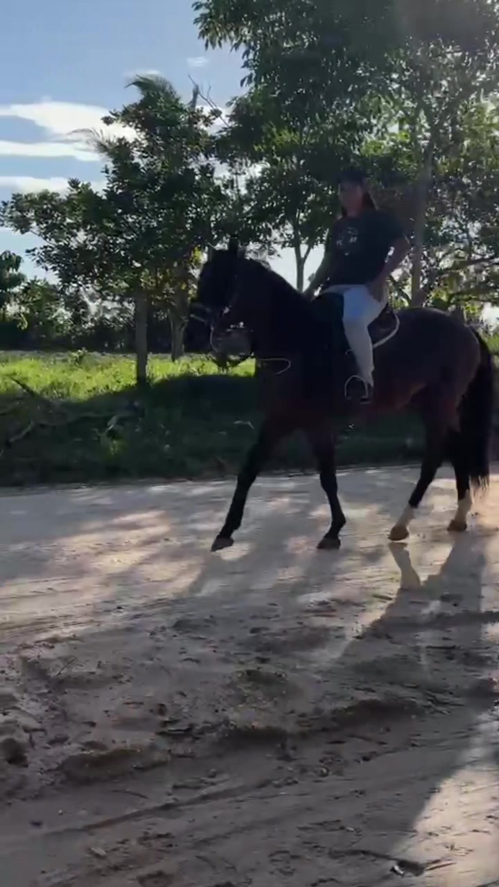 @Amanda Vaqueira🤠