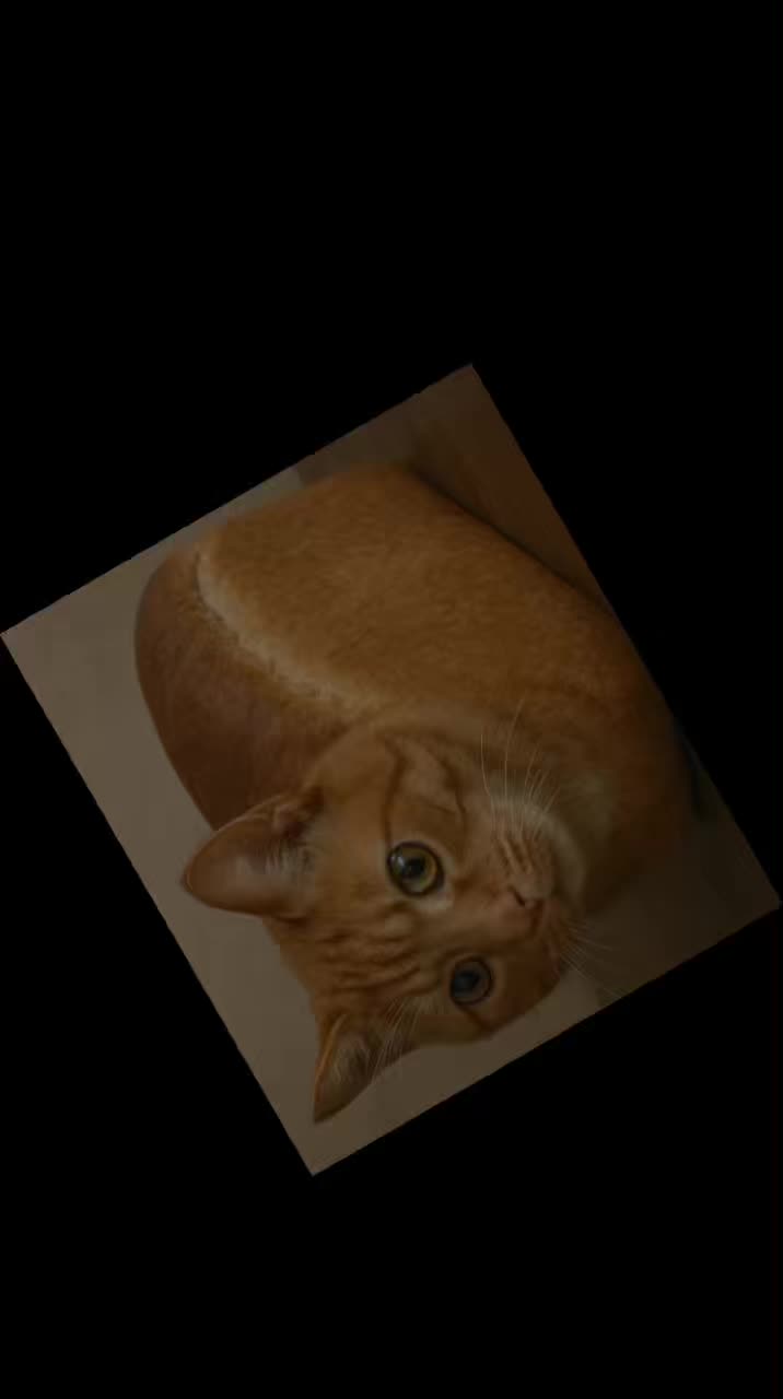 @bread_.cat