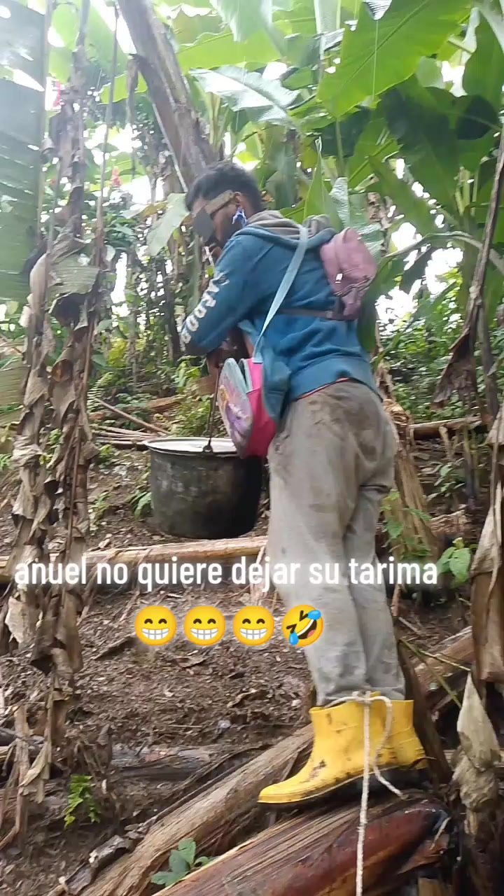 @anuel aa del temu๐ฟ๐๐น๐ช๐จ