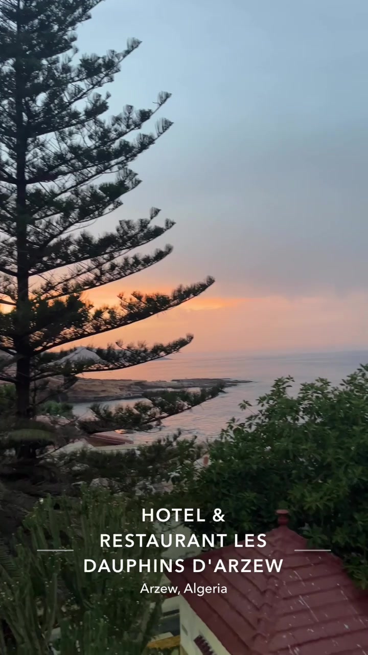@🇹🇷🇩🇿