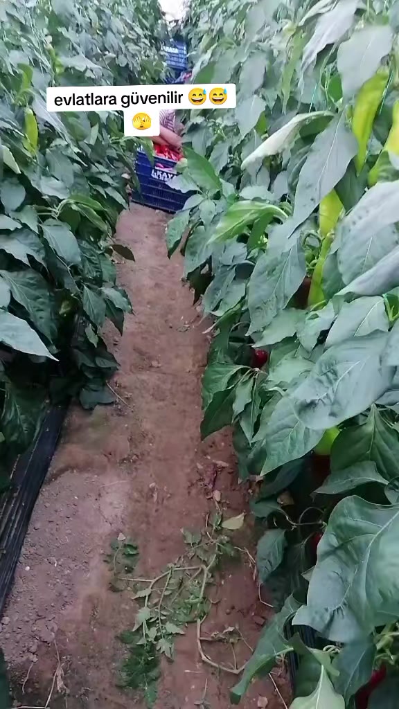 @Antalya'nın gülen yüzü 🔥🔥